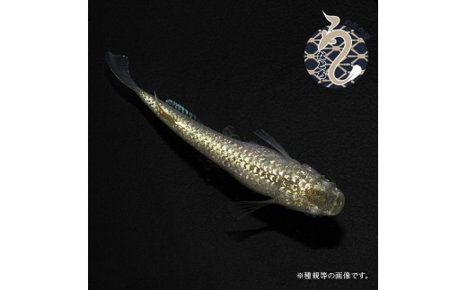 すずらん