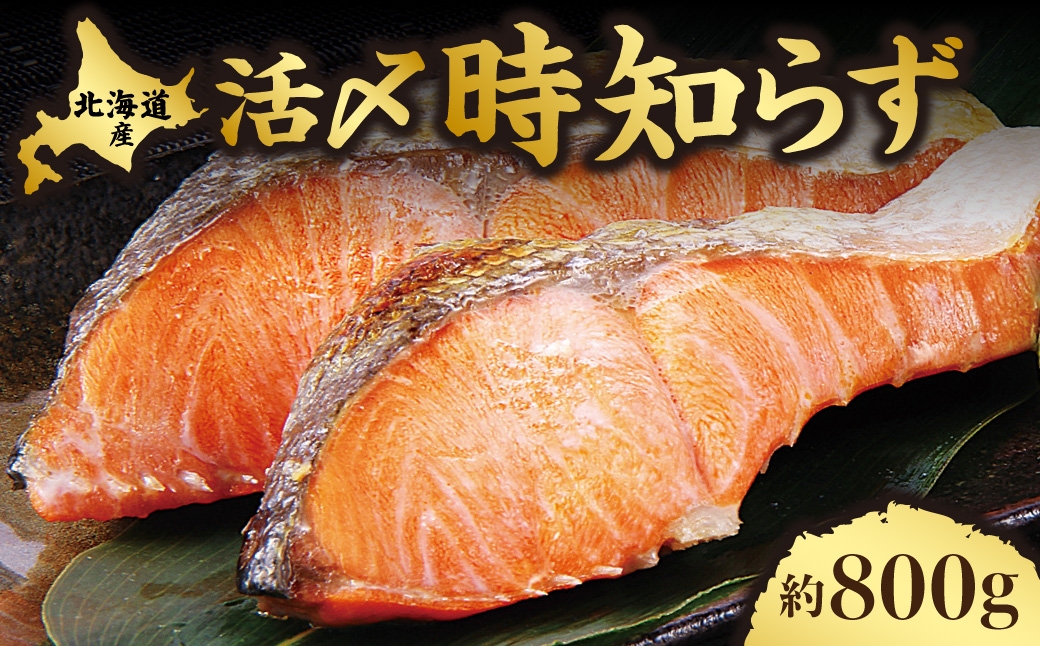 
                  【先行受付】活〆 時知らず 天然 鮭切身 中塩仕込 10切(2切160g×5パック) 800g  知床斜里産 切り身 
                