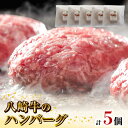 【ふるさと納税】八崎牛 ハンバーグ 約 120g × 5 無添加 国産 旨味 肉汁 黒毛和牛 和牛 グルメ 惣菜 おかず ご飯のお供 加工品 食品 肉 冷凍 宮崎県 延岡市 鏡山牧場 お取り寄せ お取り寄せグルメ 送料無料