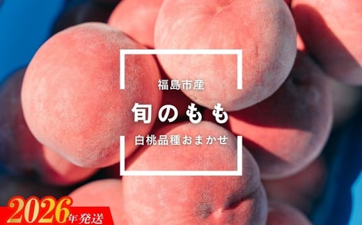 
            No.2997 福島県福島市産 旬のもも(白桃・品種おまかせ) 約1kg(3～6玉)【2026年発送 先行予約】
          