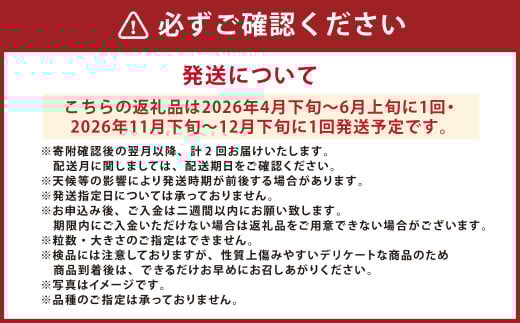 【年2回定期便】『まるで果物の王様！贅沢メロン』 2玉セット×2回 合計4玉 2色楽しめる特別な定期便 熊本県産 フルーツ くだもの 果物 メロン 果実 果肉 おやつ 国産