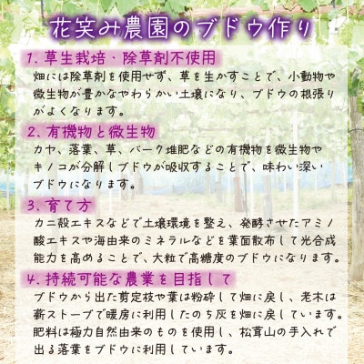 岡山　花笑み農園『園主おすすめぶどう2種セット』〜シャインの親子セット〜　2M−1SR　9月中下旬〜【配送不可地域：離島】【1629367】