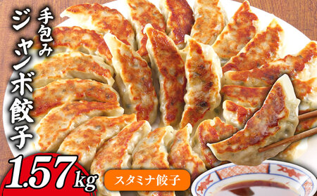 手包み ジャンボ スタミナ 餃子 45個 冷凍 【 餃子 】