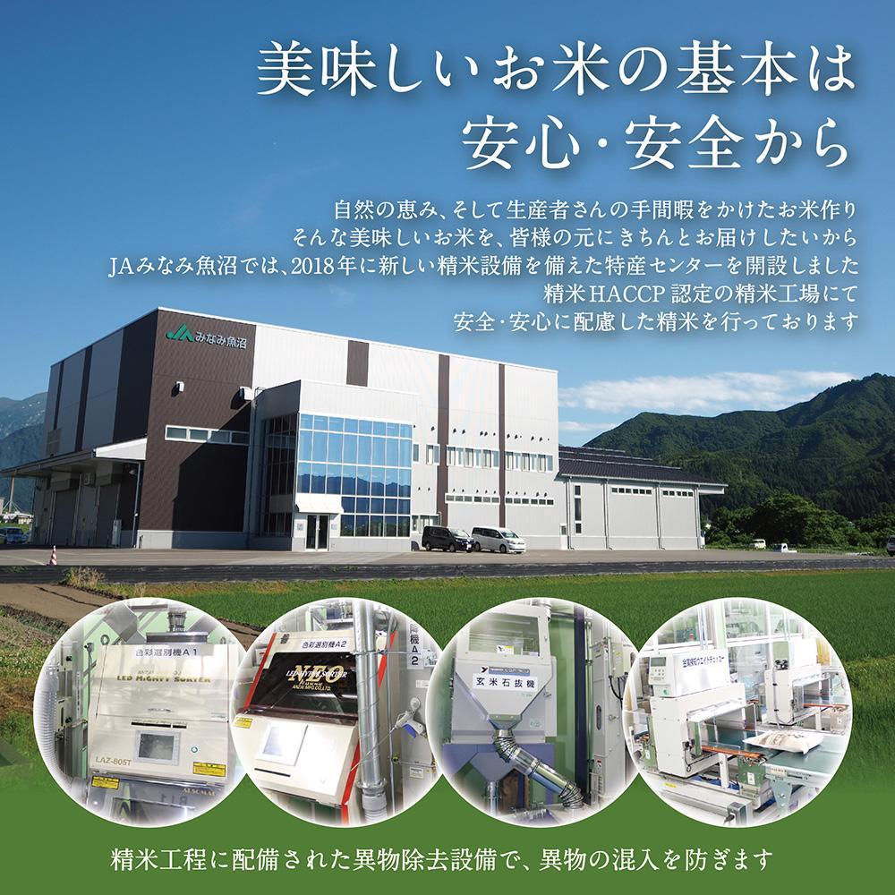 【高島屋選定品】【令和7年産】〈JAみなみ魚沼〉南魚沼産こしひかり10kg