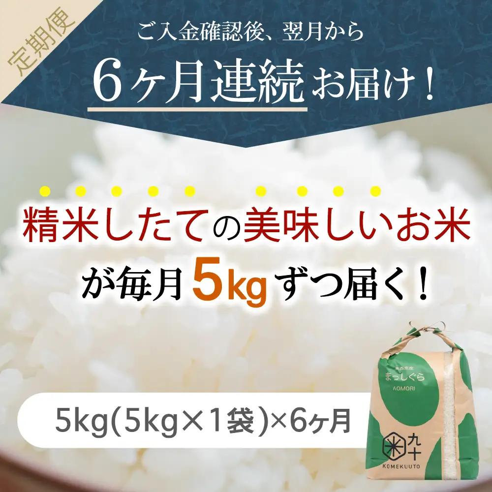 【定期便 6ヶ月】 米 5kg まっしぐら 青森県産 (精米) 定期便6回 5kg×6回