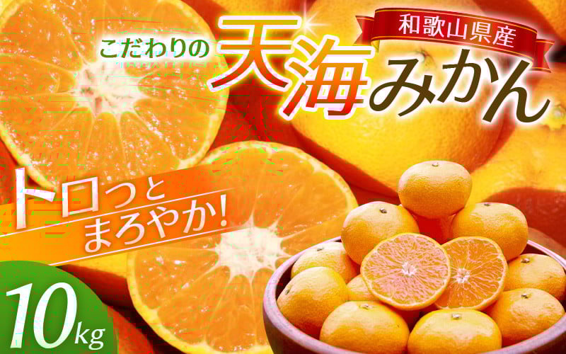 
            天海みかん 秀品 完熟宮川早生10kg 【先行予約】/ みかん 和歌山 ミカン フルーツ 果物 早生みかん 柑橘 田辺市 紀州田辺 甘い  【nak007-1】
          