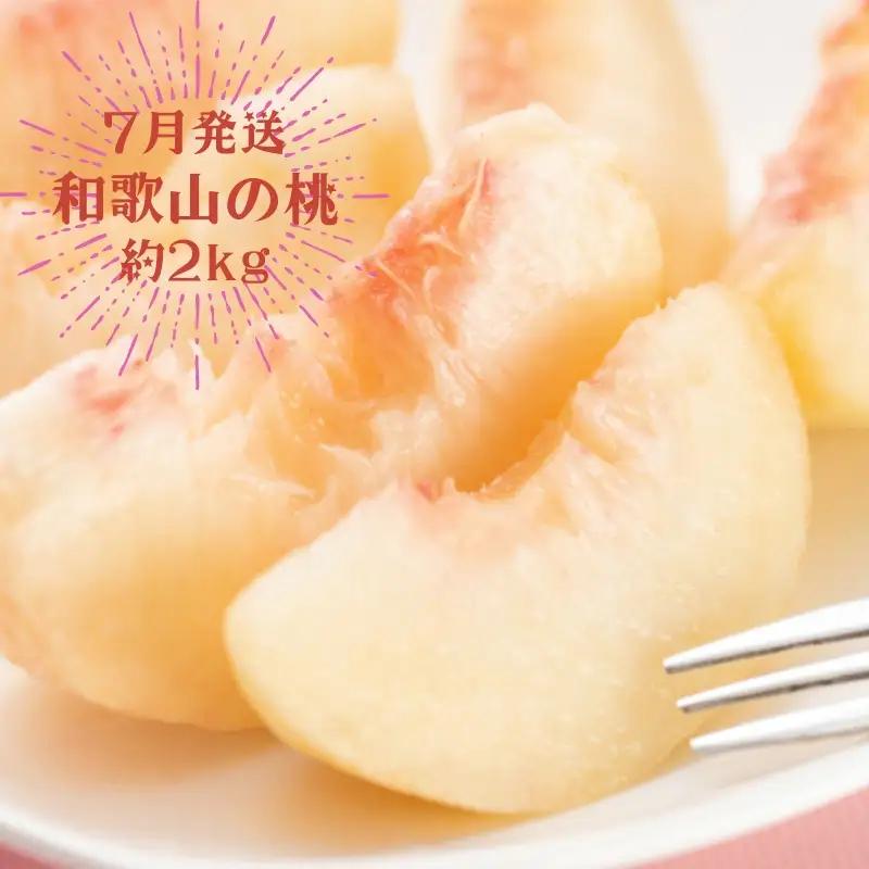 【3か月定期便】夏のいいとこどりフルーツ定期便♪桃・ピオーネ・シャインマスカット【tkb360】
