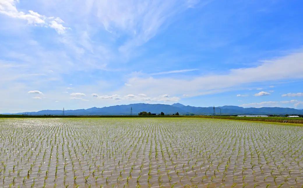 【定期便12回】北海道奈井江町　ななつぼし　10kg