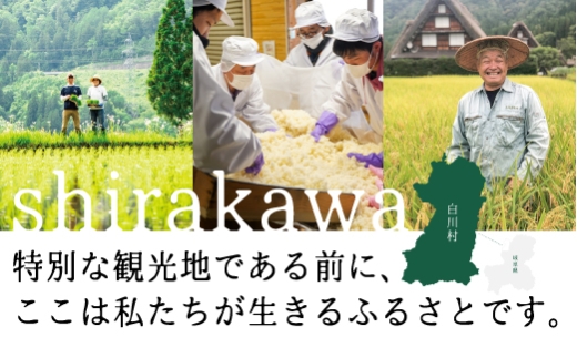 結旨豚醤油ステーキ 250g×2袋 2枚入り×2袋 4枚 味付き 醤油タレ 生姜 抗生物質 合成抗菌剤不使用 ｜ 豚肉 ステーキ 豚肉 ステーキ肉 豚肉 味付き 豚肉 おかず 豚肉 おつまみ 結旨豚 ブランド豚 国産豚 ブランド豚 結旨豚 ご飯のおかず おつまみ BBQ 鉄板 やわらか ジューシー 脂身 相性バツグン 世界遺産 白川郷 [S392]