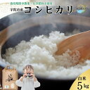 【ふるさと納税】令和6年産 宇陀市産 栽培期間中無農薬・無化学肥料米 白米5kg / ふるさと納税 米 こめ お米 お取り寄せ 美味しい ブランド オススメ 産地 大和高原 精米済 送料無料 奈良 宇陀 令和6年 新米 白米 コシヒカリ 米工房はやし