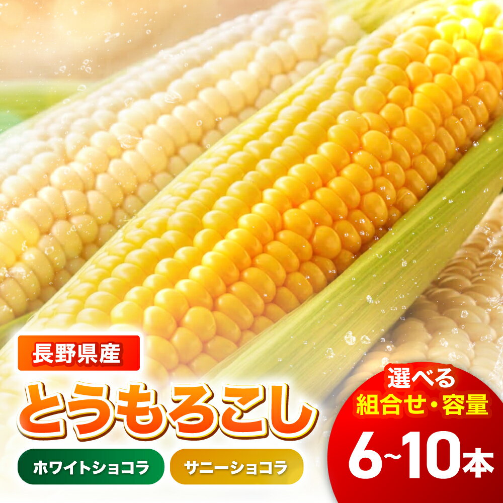 【ふるさと納税】 とうもろこし ホワイトショコラ サニーショコラ 【選べる組合せ・容量】| 農家直送 トウモロコシ 甘い 野菜 ジューシー みずみずしい 生食 茹で 焼き 栄養 おやつ 長野県 南信州 飯田市