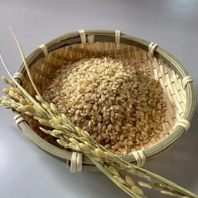 ふるさと納税 阿南市 【玄米5kg】紗奈〜はまだ農園 　玄米(コシヒカリ) |  | 01