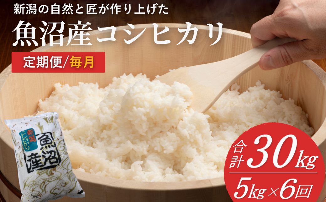 【6か月定期便】 魚沼産コシヒカリ定期便 5kg×6回／毎月 令和7年産 白米 共栄農工社【0002-KY04DB00】