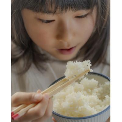 ふるさと納税 酒田市 【毎月定期便】山形県庄内産 つや姫　精米5kg全6回 |  | 01