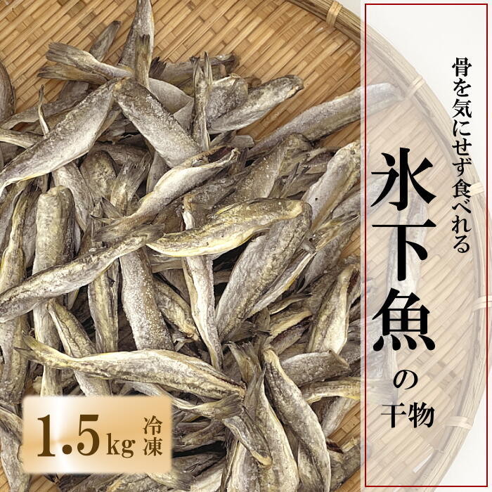 【ふるさと納税】【12月21日決済確定分まで年内配送】[北海道根室産]骨ごと食べれる生干しこまい 1.5kg A-69010