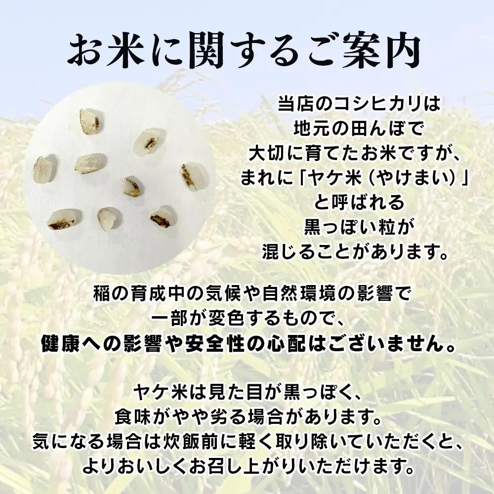 【2026年先行予約】棚田米 こしひかり 白米 10kg 令和8年産| コシヒカリ