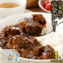 【ふるさと納税】博多和牛 黄金カレー 博多和牛 牛肉 カレー カレーライス ご飯 お取り寄せ 福岡 グルメ