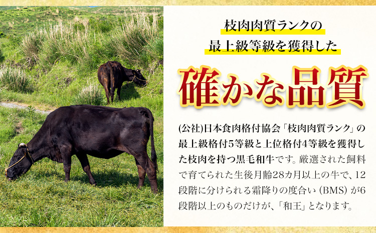 熊本県産 黒毛和牛 サーロイン ステーキ 計600g（200g×3）《90日以内に出荷予定(土日祝除く)》 国産 牛肉---039-2008--