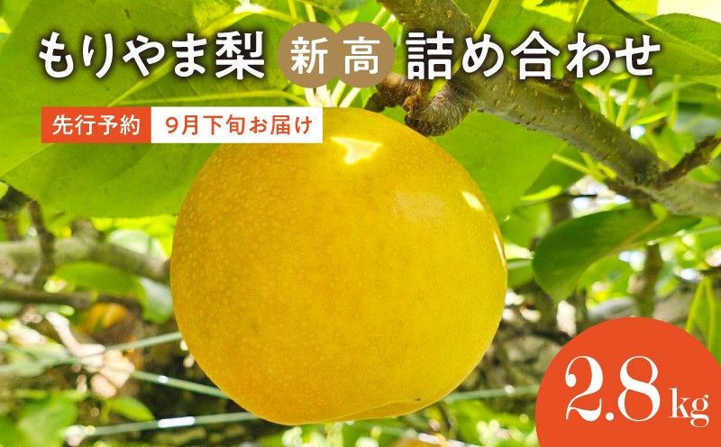 
                  びわこもりやまフルーツランド もりやま梨 新高詰め合わせ【先行予約】 CV-0014
                
