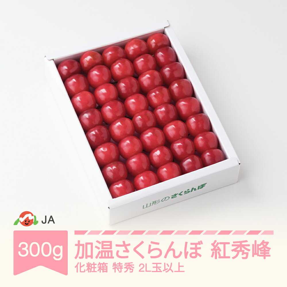 【ふるさと納税】【先行予約】 加温ハウス さくらんぼ 紅秀峰 300g 化粧箱 特秀2L玉以上 2026年産 令和8年産 早出し 送料無料 サクランボ