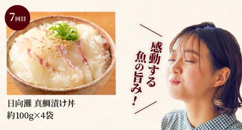 【ふるさと納税】日向灘 海鮮丼 漬け丼 お魚の漬け丼 バラエティ7回定期便 N019-ZF050