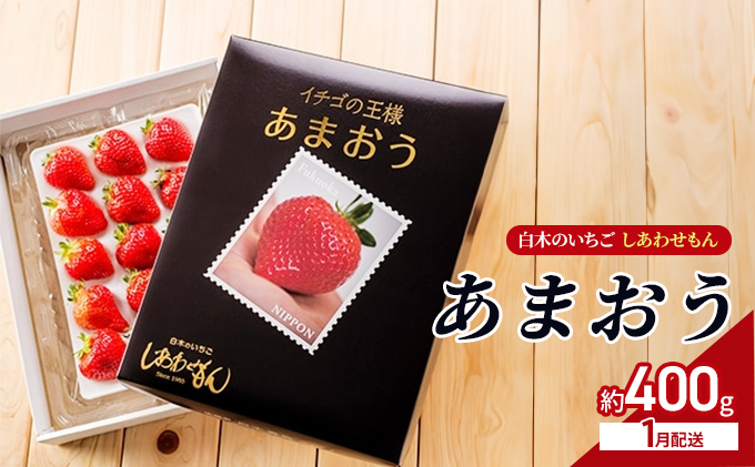 いちご 1月配送 しあわせもん あまおう 化粧箱 1箱 いちご職人 白木のいちご イチゴ 苺 果物 デザート ※配送不可：沖縄・離島