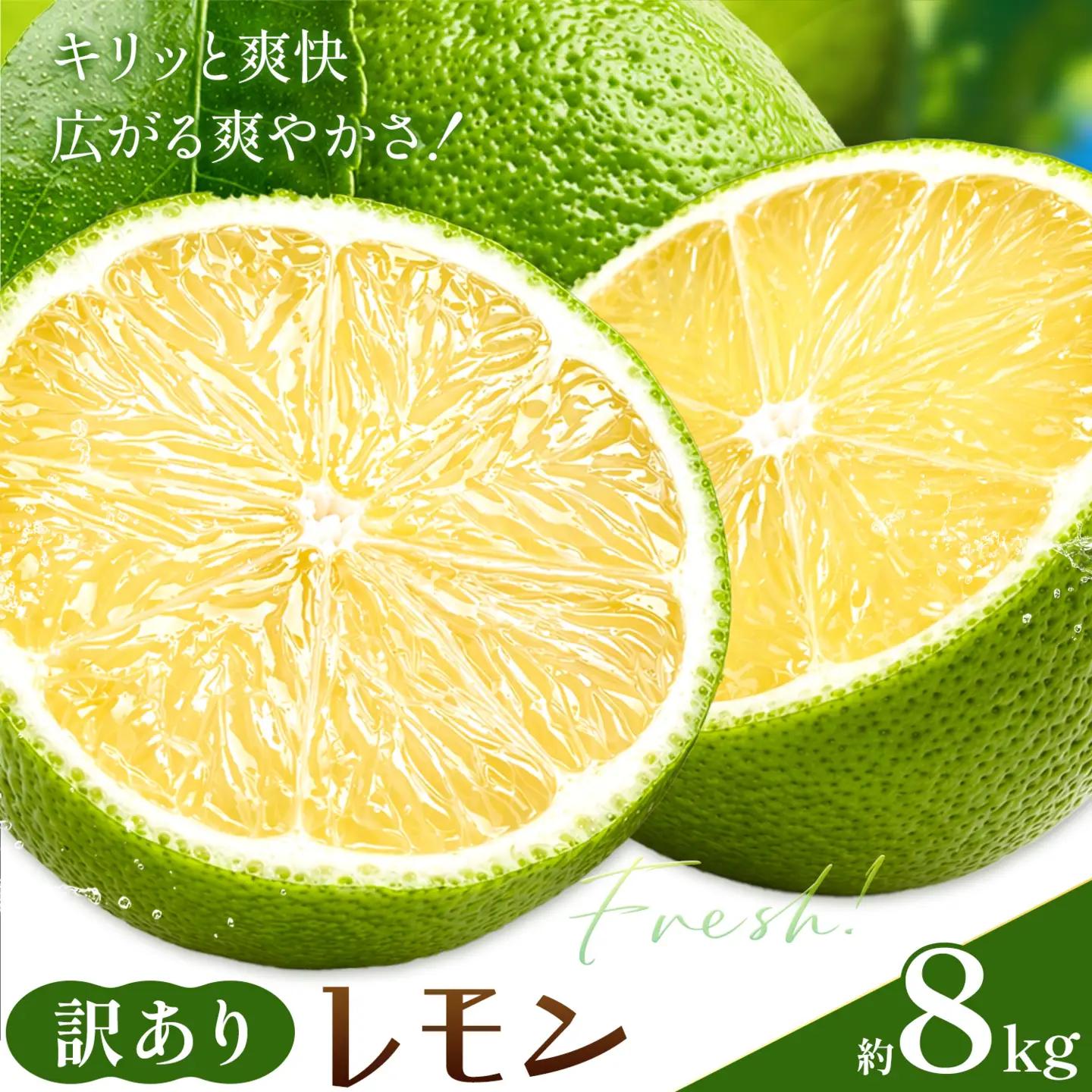 レモン 訳あり 緑色 檸檬 8kg (1kgあたり5-12玉前後) 株式会社農業福祉研究機構《10月上旬-11月上旬頃出荷》和歌山県 紀の川市 フルーツ 果物 お取り寄せフルーツ