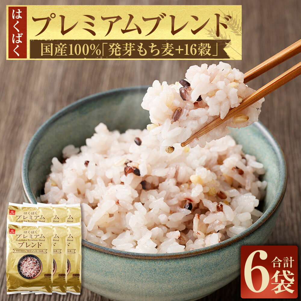 【ふるさと納税】国産「発芽もち麦＋16穀」 計2.7kg（（30g×15）×6袋） 雑穀ごはん 雑穀米 お米 もち玄米 発芽玄米 黒米 赤米 十六穀ごはん ごはん ご飯 国産 山梨県 中央市 送料無料