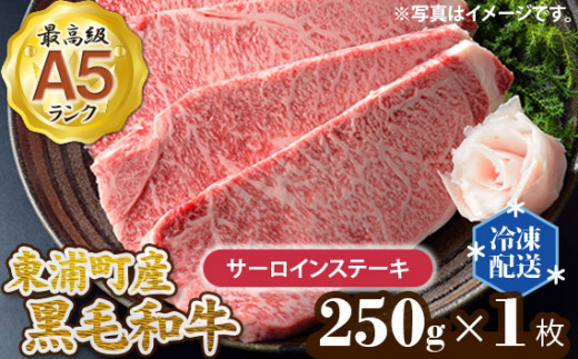 
No.001 東浦町産最高級A5ランク黒毛和牛　サーロインステーキ（約250g×1枚） ／ 牛肉 国産 霜降り 愛知県
