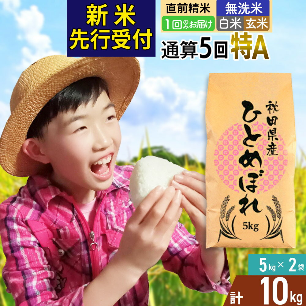 【ふるさと納税】《予約受付》《1回のみお届け》令和7年産【無洗米／白米／玄米】通算5回特A 秋田県産ひとめぼれ 10kg (5kg×2袋) 【2025年11月中出荷予定】