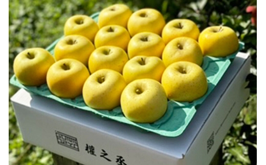 【26年10月下旬～発送】りんご シナノゴールド【贈答用】約5kg 權之丞 青森りんご 青森県 弘前市 果物 フルーツ 林檎 リンゴ くだもの ギフト 贈り物 [産地直送 弘前市産 アップル おいしい
