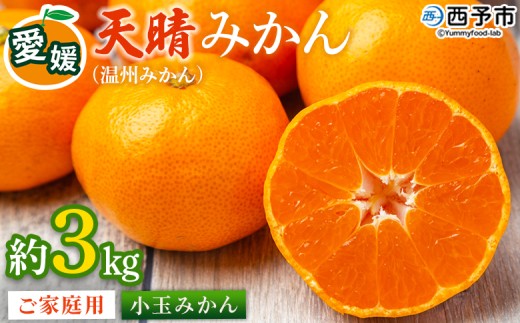 ＜愛媛県明浜産 天晴みかん（温州みかん）約3kg 小玉サイズ＞ 家庭用 訳あり ワケアリ 果物 くだもの フルーツ ミカン 柑橘 特産品 笑丸 愛媛県 西予市【常温】『2026年11月中旬～2027年1月上旬迄に順次出荷予定』