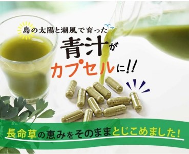 「青汁」長命草カプセル(280㎎×150粒)【喜界島薬草農園】