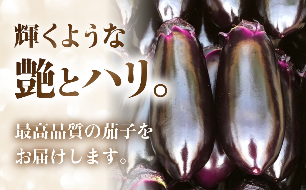 甘味の詰まった、つやつや輝くなす