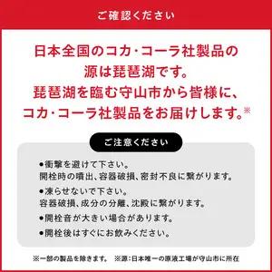 カナダドライジンジャーエール 500mlPET（24本入） 飲料 ドリンク コカ・コーラ ジンジャーエキス 水分補給 常備 保存 買い置き PET 人気 おすすめ  BB-0012