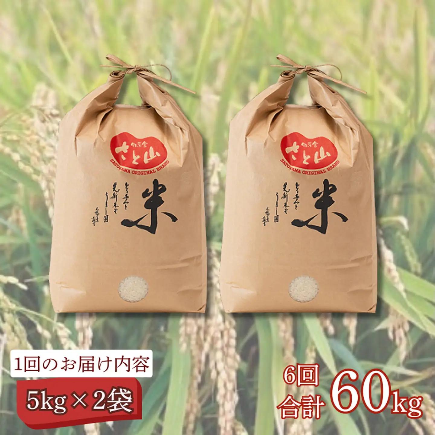 【定期便6回】三瀬村産「コシヒカリ」5kg×2袋 お米 精米：C195-007