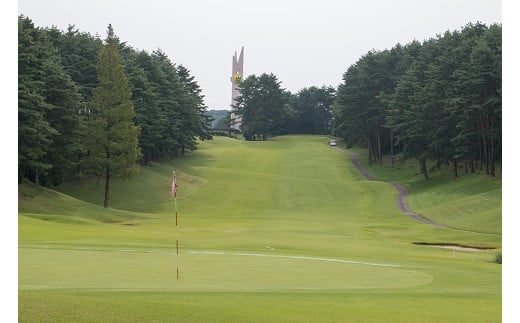 ゴルフ場 新発田市 利用券 3,000円分 (1,000円×3枚) 感謝券 ゴルフ チケット 新潟 市内 利用 可 ゴルフ場利用券 プレー券 施設利用券 ごるふ golf 北陸 温泉 旅行 旅行券 宿