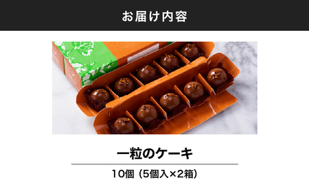 2335 一粒のケーキ 10個入 KN035-004-01 スイーツ お菓子 洋菓子 ケーキ 大隅半島農林文化村 ふるさと納税 鹿児島 鹿屋市 おすすめ ランキング プレゼント ギフト