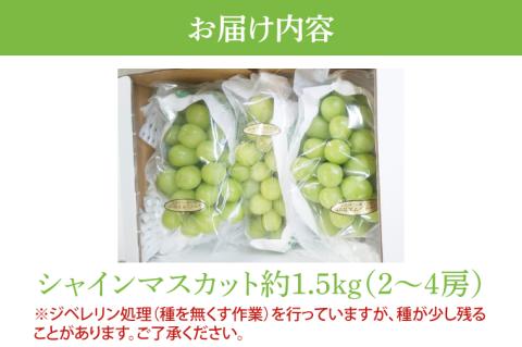 IU-2　【先行予約】【期間限定】シャインマスカット 約1.5kg【茨城県共通返礼品/石岡市】