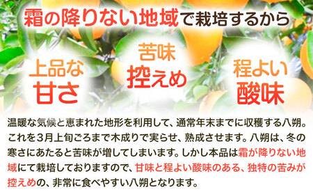 〈先行予約〉【産直】和歌山由良町産の木成り熟成八朔 約10kg（L-4Lサイズおまかせ）厳選館 《2026年3月中旬-5月中旬頃出荷》和歌山県 日高川町 柑橘 八朔 熟成 はっさく ハッサク