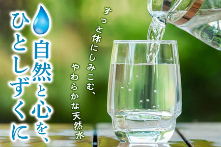 水 《定期便6ヶ月》国産 ミネラルウォーター ピュアの森 500ml 24本×1箱 天然水 軟水 ペットボトル ラベルあり