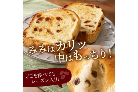 京都丹後　パンドミレーズン　３斤（4枚切り12枚）