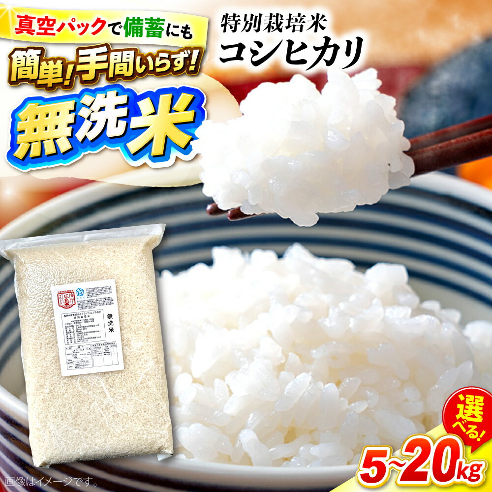 【ふるさと納税】【先行予約】【9月中旬から順次発送】特別栽培米 コシヒカリ 真空パック 白米【無洗米】選べる容量（5kg ・ 10kg ・ 15kg ・ 20kg ) 新米 米 お米 こしひかり ご飯 コシヒカリ おこめ 三次市 / 小川モータース [APCH001]
