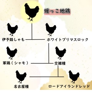 数量限定 最高級 地鶏 ブランド 媛っこ地鶏 モモ肉 約600g こだわり 鶏肉 鶏皮 小分け