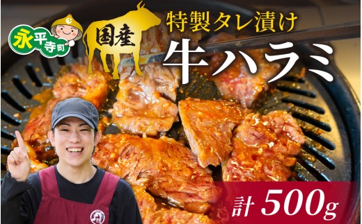国産 特製タレ漬け牛ハラミ 250gx2パック（計500g） [B-019007]