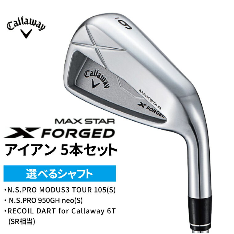 【ふるさと納税】 ゴルフクラブセット キャロウェイ X FORGED MAX STAR アイアン 5本セット 選べるシャフト Callaway ゴルフ スポーツ