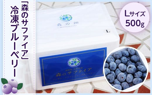 
            J0484長野市産「森のサファイア」冷凍ブルーベリー（Lサイズ）500ｇスチロールパック
          
