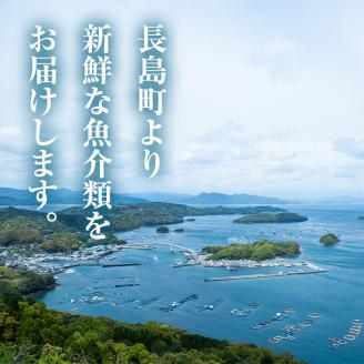 ＜敬老の日＞長島の鯛めしと季節のお刺身セット(2合用)【水口松夫水産・厨】_kuriya-828