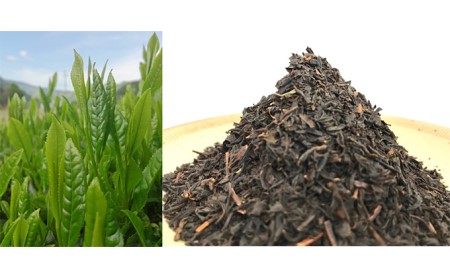 南信州産茶葉100％ 信州若蒸し茶 一番茶／信州和紅茶 リーフ