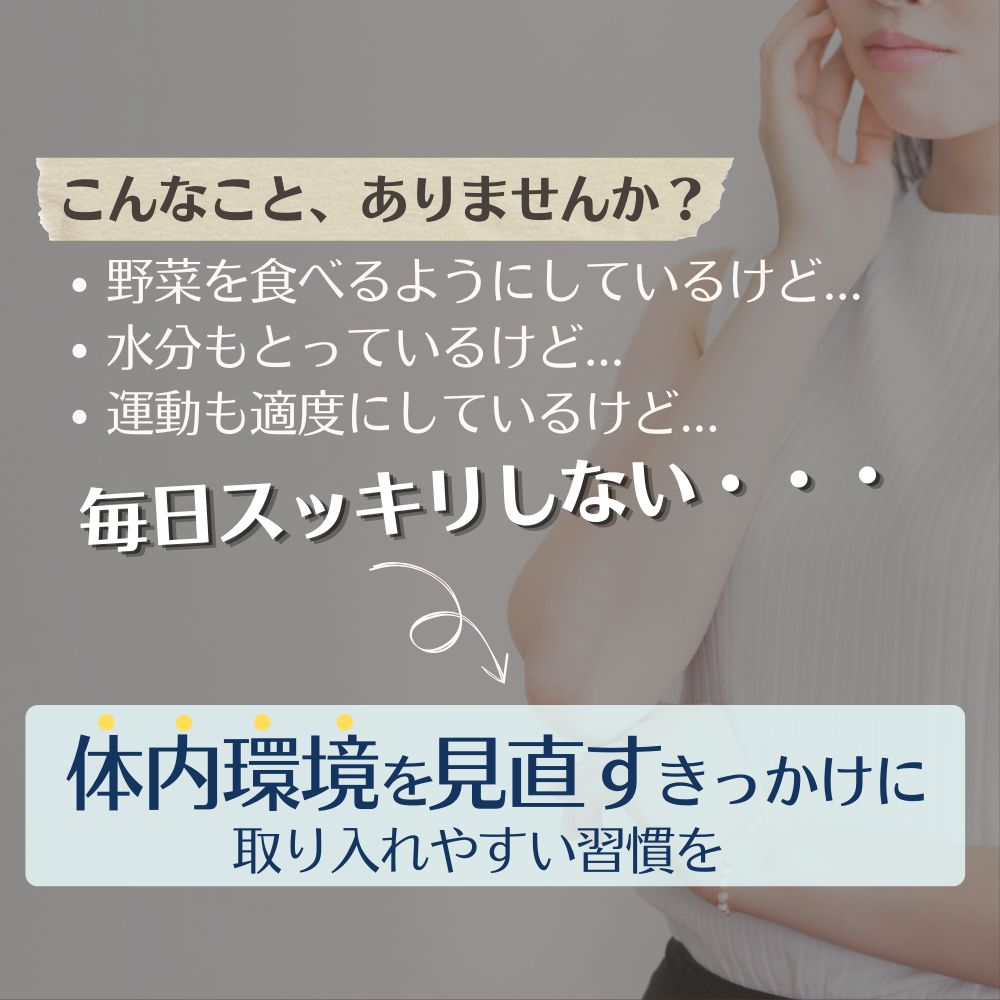 ＜定期便＞サンファイバープラス【スティック】6g×30包 太陽化学│酪酸菌 水溶性食物繊維 発酵性食物繊維 シンバイオティクス【12ヶ月】_イメージ3